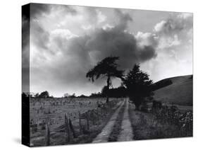 Roman Road, Ceirieg (Vintage) Drovers Roads, Wales-Fay Godwin-Stretched Canvas