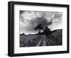 Roman Road, Ceirieg (Vintage) Drovers Roads, Wales-Fay Godwin-Framed Giclee Print