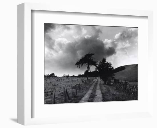 Roman Road, Ceirieg (Vintage) Drovers Roads, Wales-Fay Godwin-Framed Giclee Print