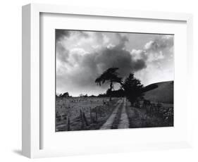 Roman Road, Ceirieg (Vintage) Drovers Roads, Wales-Fay Godwin-Framed Giclee Print