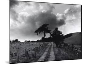 Roman Road, Ceirieg (Vintage) Drovers Roads, Wales-Fay Godwin-Mounted Giclee Print