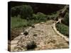 Roman Road Near Cirauqui, on the Camino, Navarre, Spain-Ken Gillham-Stretched Canvas