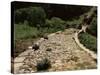 Roman Road Near Cirauqui, on the Camino, Navarre, Spain-Ken Gillham-Stretched Canvas