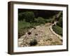 Roman Road Near Cirauqui, on the Camino, Navarre, Spain-Ken Gillham-Framed Photographic Print