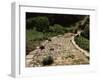 Roman Road Near Cirauqui, on the Camino, Navarre, Spain-Ken Gillham-Framed Photographic Print