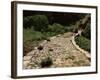 Roman Road Near Cirauqui, on the Camino, Navarre, Spain-Ken Gillham-Framed Photographic Print