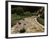 Roman Road Near Cirauqui, on the Camino, Navarre, Spain-Ken Gillham-Framed Photographic Print