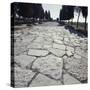Roman Road Near Seville, Andalusia, Spain-null-Stretched Canvas