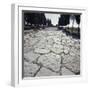 Roman Road Near Seville, Andalusia, Spain-null-Framed Giclee Print