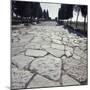 Roman Road Near Seville, Andalusia, Spain-null-Mounted Giclee Print