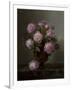 Roman Roses, 1854-William Hammer-Framed Giclee Print