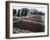 Roman Ruins at Aquinco, Budapest, Hungary-null-Framed Giclee Print