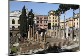 Roman Ruins in the Sacred Area (Area Sacra) of Largo Argentina, Rome, Lazio, Italy-Stuart Black-Mounted Photographic Print