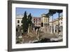 Roman Ruins in the Sacred Area (Area Sacra) of Largo Argentina, Rome, Lazio, Italy-Stuart Black-Framed Photographic Print