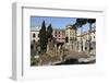 Roman Ruins in the Sacred Area (Area Sacra) of Largo Argentina, Rome, Lazio, Italy-Stuart Black-Framed Photographic Print