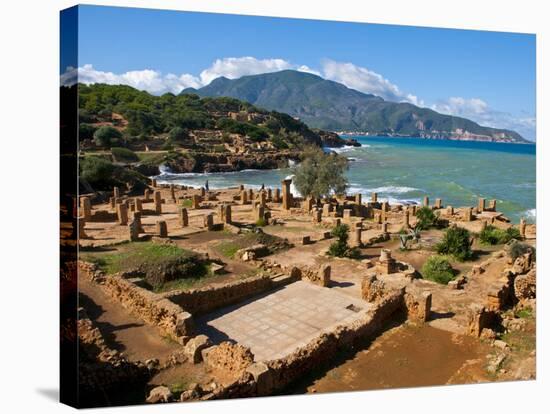 Roman Ruins of Tipasa, on the Algerian Coast, Algeria, North Africa, Africa-Michael Runkel-Stretched Canvas