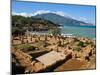 Roman Ruins of Tipasa, on the Algerian Coast, Algeria, North Africa, Africa-Michael Runkel-Mounted Photographic Print