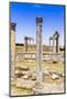 Roman ruins, Temple of Juno Caelestis, Dougga Archaeological Site, Tunisia-Nico Tondini-Mounted Photographic Print