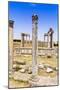 Roman ruins, Temple of Juno Caelestis, Dougga Archaeological Site, Tunisia-Nico Tondini-Mounted Photographic Print