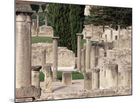 Roman Ruins, Vaison La Romaine, Vaucluse, Provence, France-John Miller-Mounted Photographic Print