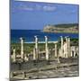 Roman Ruins with Statue of Emperor Trajan, Baelo Claudia, Near Tarifa, Andalucia, Spain, Europe-Stuart Black-Mounted Photographic Print