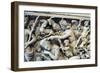 Roman Sarcophagus with the Legend of Selene and Endymion, 230-235 AD-null-Framed Photographic Print