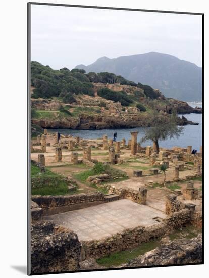 Roman Site of Tipasa, UNESCO World Heritage Site, Algeria, North Africa, Africa-Ethel Davies-Mounted Photographic Print