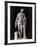 Roman Statue Representing Sleep-null-Framed Photographic Print