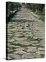 Roman Street, Paestum, Campania, Italy-John Ross-Stretched Canvas