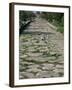 Roman Street, Paestum, Campania, Italy-John Ross-Framed Photographic Print