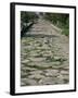 Roman Street, Paestum, Campania, Italy-John Ross-Framed Photographic Print