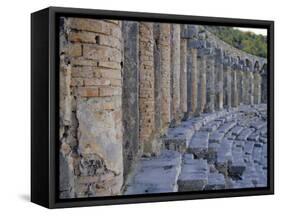 Roman Theater, Aspendos, Turkey, Eurasia-David Poole-Framed Stretched Canvas