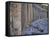 Roman Theater, Aspendos, Turkey, Eurasia-David Poole-Framed Stretched Canvas