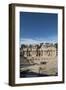 Roman Theater, Merida, UNESCO World Heritage Site, Badajoz, Extremadura, Spain, Europe-Michael-Framed Photographic Print