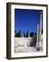 Roman Theatre of Kom El-Dik, Alexandria, Egypt, Roman AD-null-Framed Giclee Print