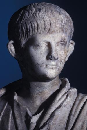 Togate Statue of the Young Nero, Front View of the Head, C.50 Ad (Marble) (Detail of 140378)