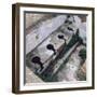 Roman Toilet, Ostia, Italy-null-Framed Photographic Print