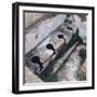 Roman Toilet, Ostia, Italy-null-Framed Photographic Print