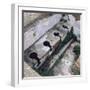 Roman Toilet, Ostia, Italy-null-Framed Photographic Print