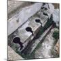 Roman Toilet, Ostia, Italy-null-Mounted Photographic Print