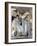 Roman Toilette Scene-null-Framed Giclee Print