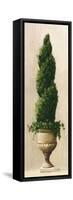 Roman Topiary I-Welby-Framed Stretched Canvas