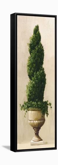 Roman Topiary I-Welby-Framed Stretched Canvas