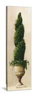 Roman Topiary I-Welby-Stretched Canvas