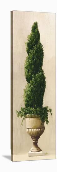 Roman Topiary I-Welby-Stretched Canvas