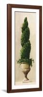 Roman Topiary I-Welby-Framed Art Print