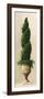 Roman Topiary I-Welby-Framed Premium Giclee Print