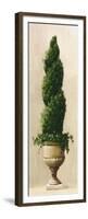 Roman Topiary I-Welby-Framed Premium Giclee Print