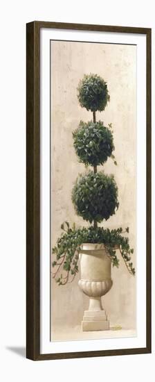 Roman Topiary II-Welby-Framed Premium Giclee Print