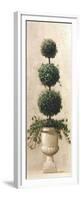 Roman Topiary II-Welby-Framed Premium Giclee Print